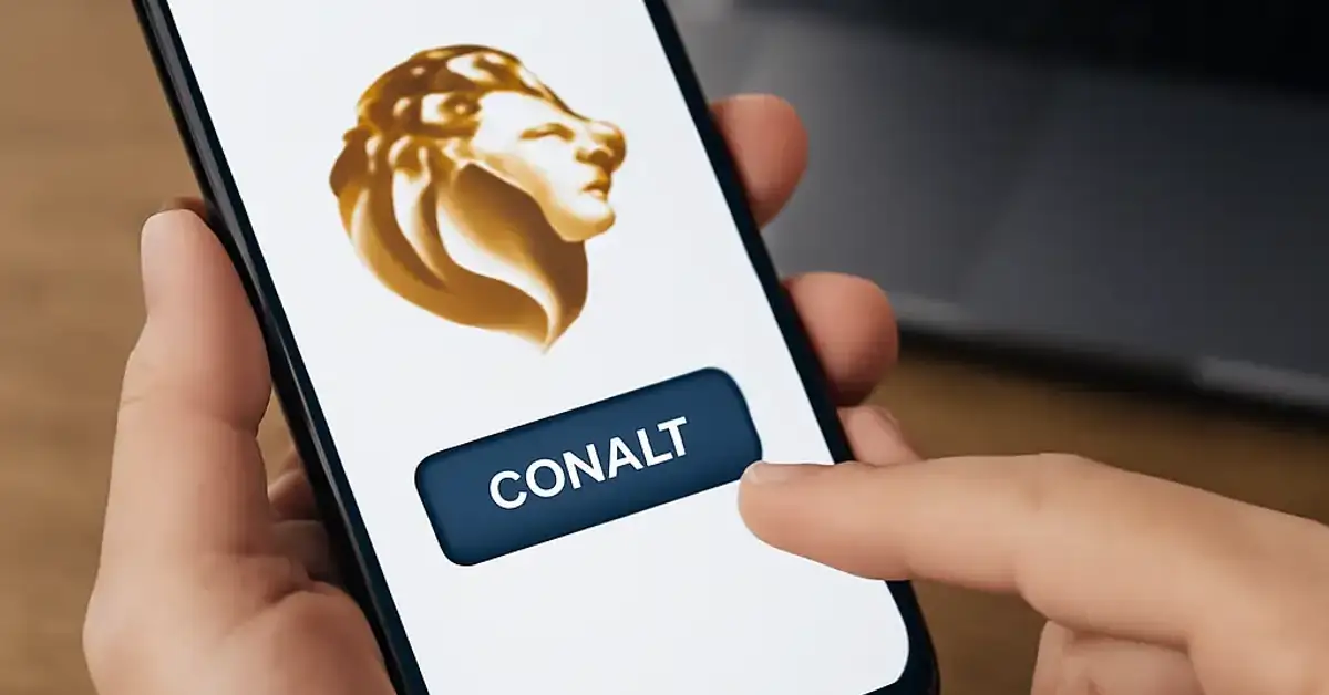 lion spin apk installation steps